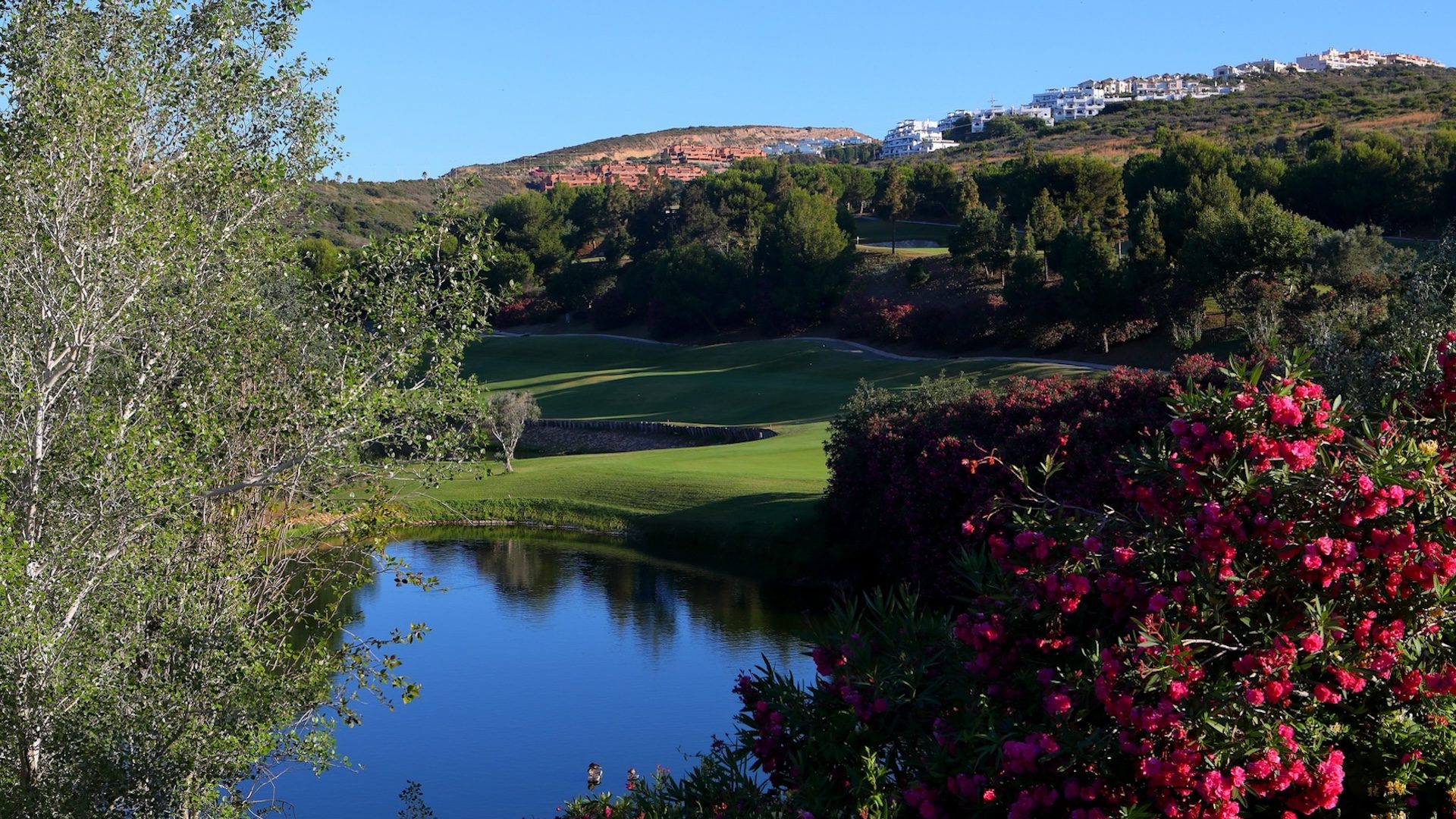 Dona Julia Golf Course - 6 Dona Julia Golf Course - 6