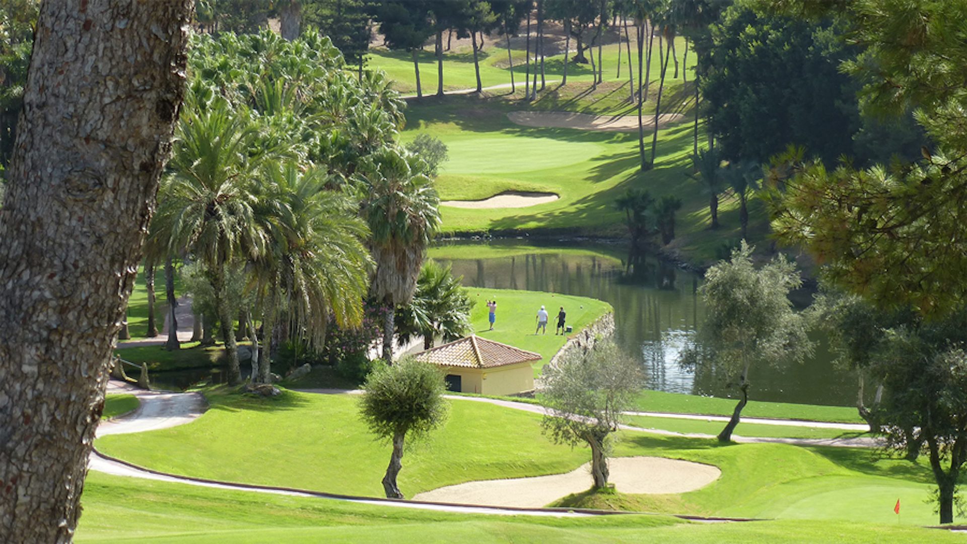 Torrequebrada Golf photos - 8 Torrequebrada Golf photos - 8